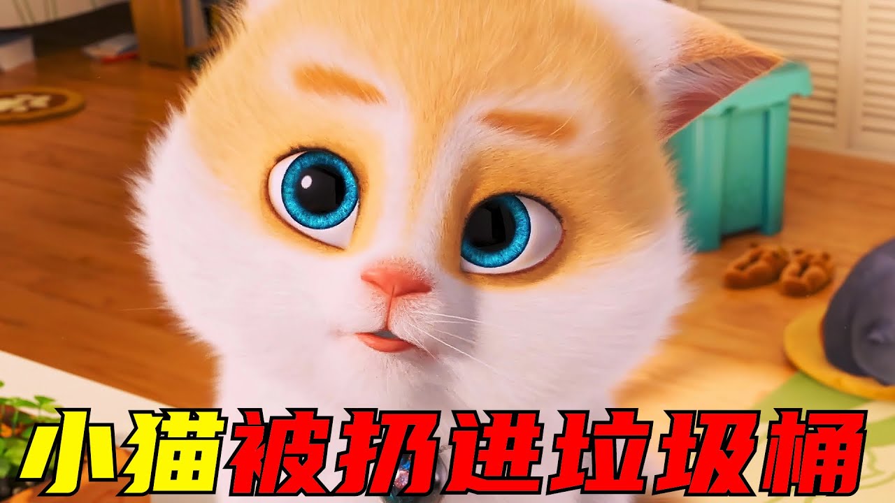 男人将断了气的小猫装进口袋，随手丢进垃圾桶，这一幕却恰好被猫爸爸看见！
