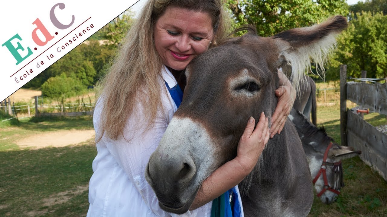 J’ai commencé à parler aux animaux - Interview avec Fabienne Maillefer | Ecole de la Conscience