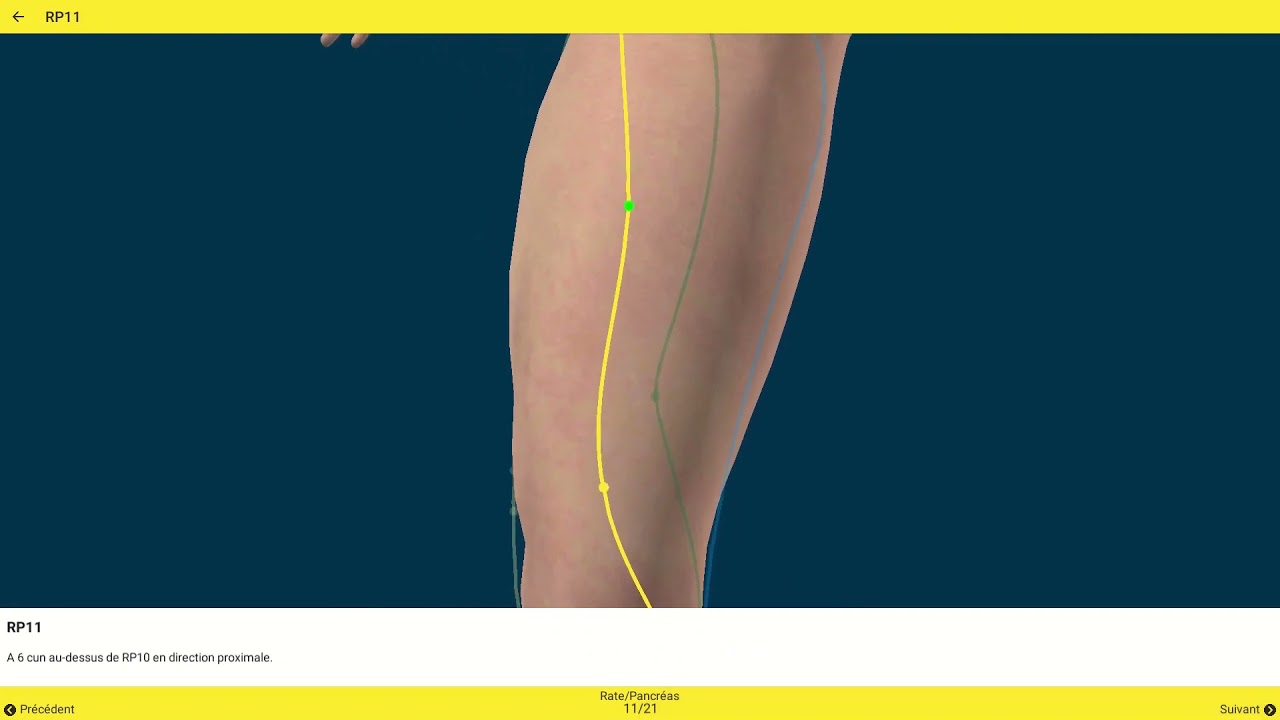 Méridien Rate-Pancréas - Trajet 3D point par point