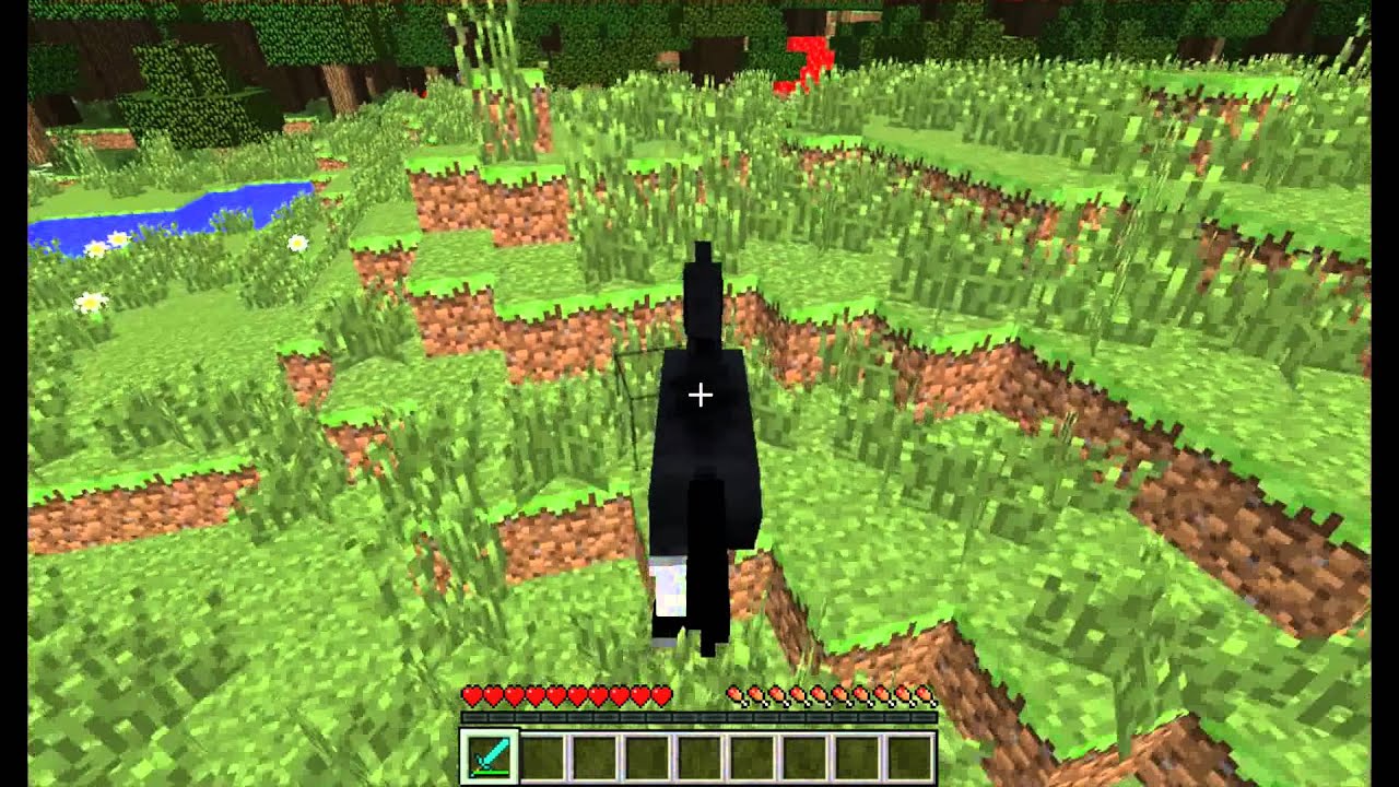 PL Minecraft mody: Morph Mod Showcase