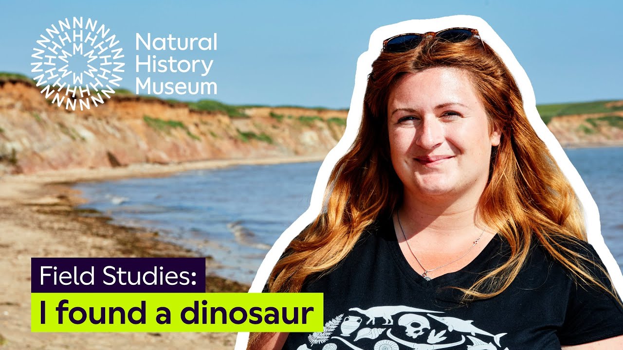 I found a dinosaur | Field Studies