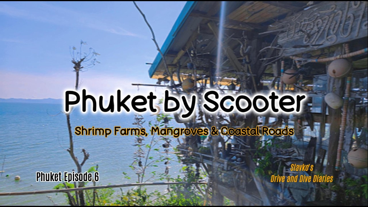 Phuket by Scooter – Nordostseite: Shrimps, Mangroven & Küstenstraßen