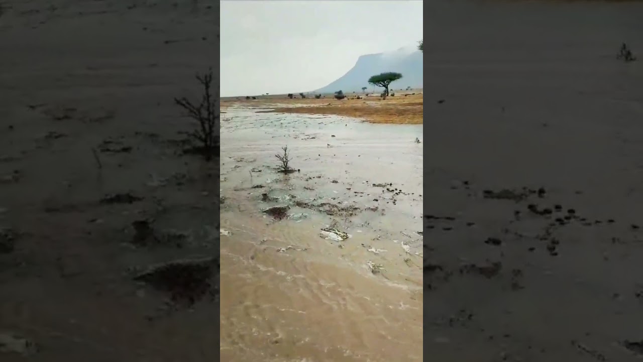 ثلاث قصص للمتابعين في ليله في ضيافة العالم الآخر😱