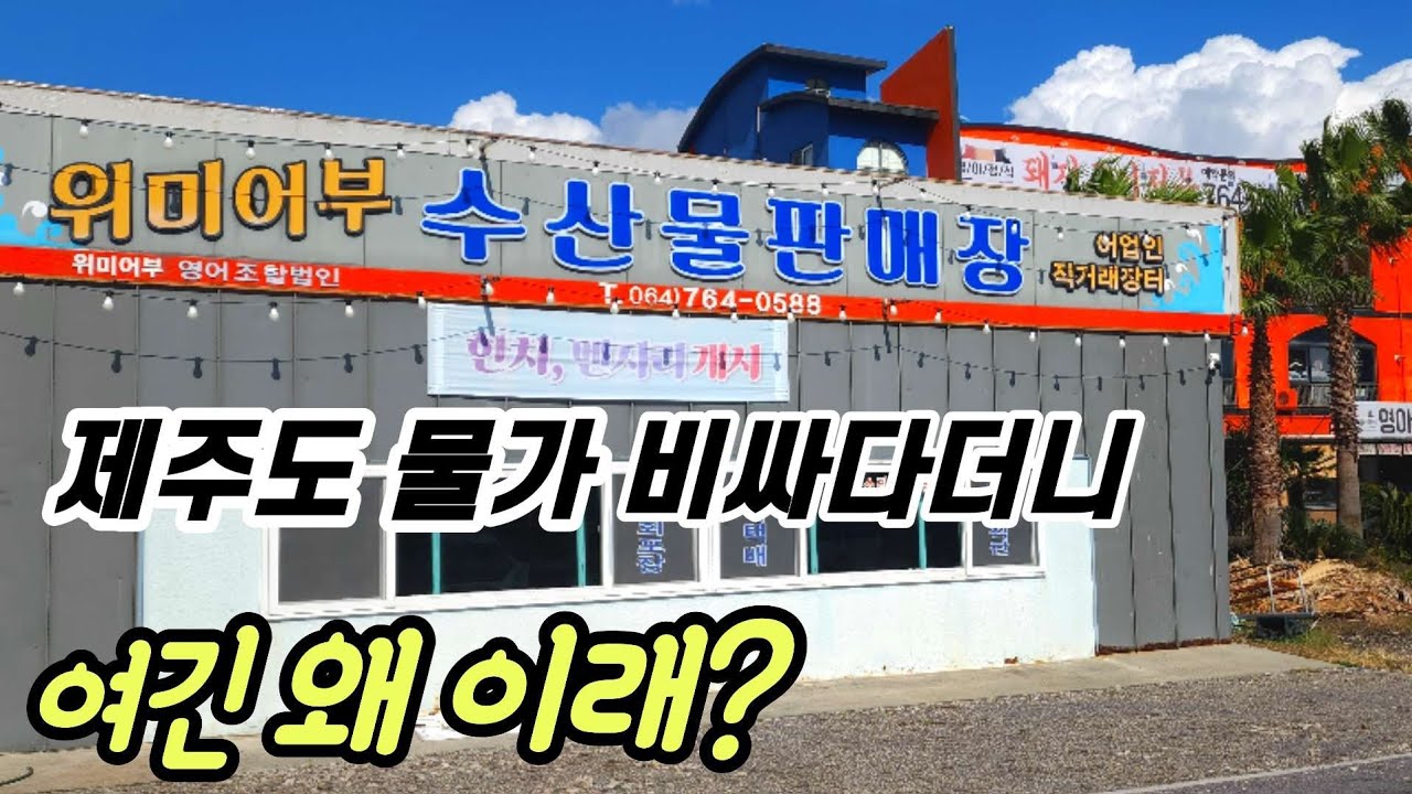 👉누가 그랬니?  제주도에서 비싸서 회먹기 겁난다고~ 가성비 항구를 찾았습니다.