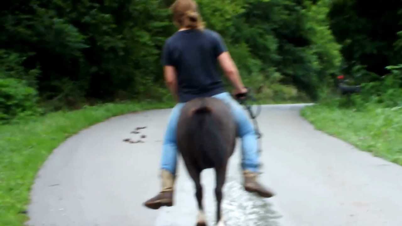 DSCF2423.MOV 