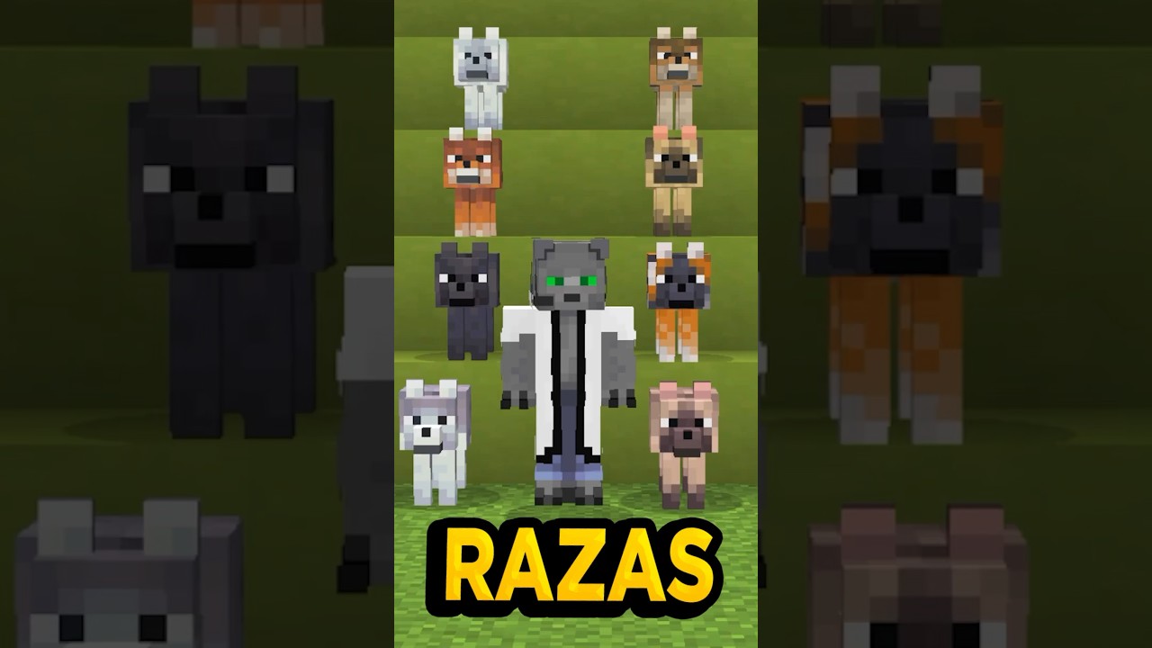 Los Nuevos LOBOS en la VIDA REAL 