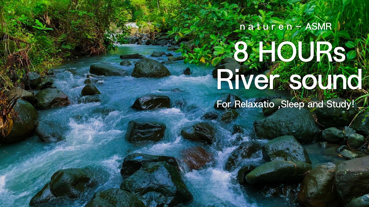 8 Hours of River Sounds for Relaxation, Sleep and Study🍃I Enjoy and Calm Down With this Video I ASMR