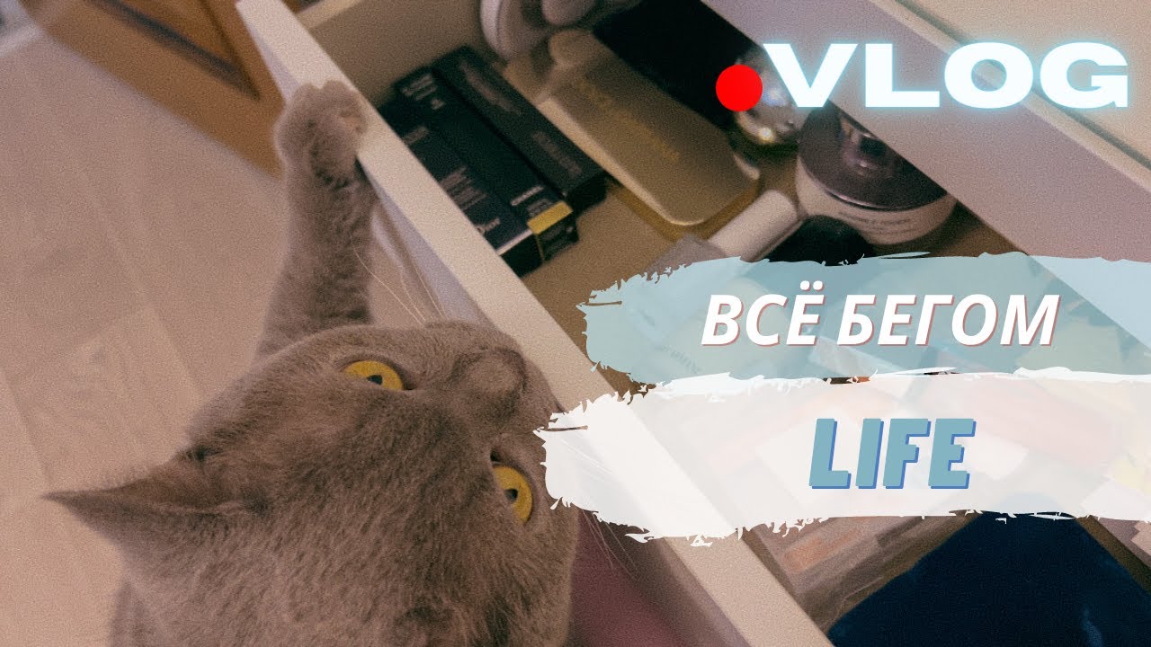 ФОРТ ЧУМНЫЙ//ПЕРВЫЙ РАЗ В МАГНИТ КОСМЕТИК// О НЕУВАЖЕНИИ//ДОМ