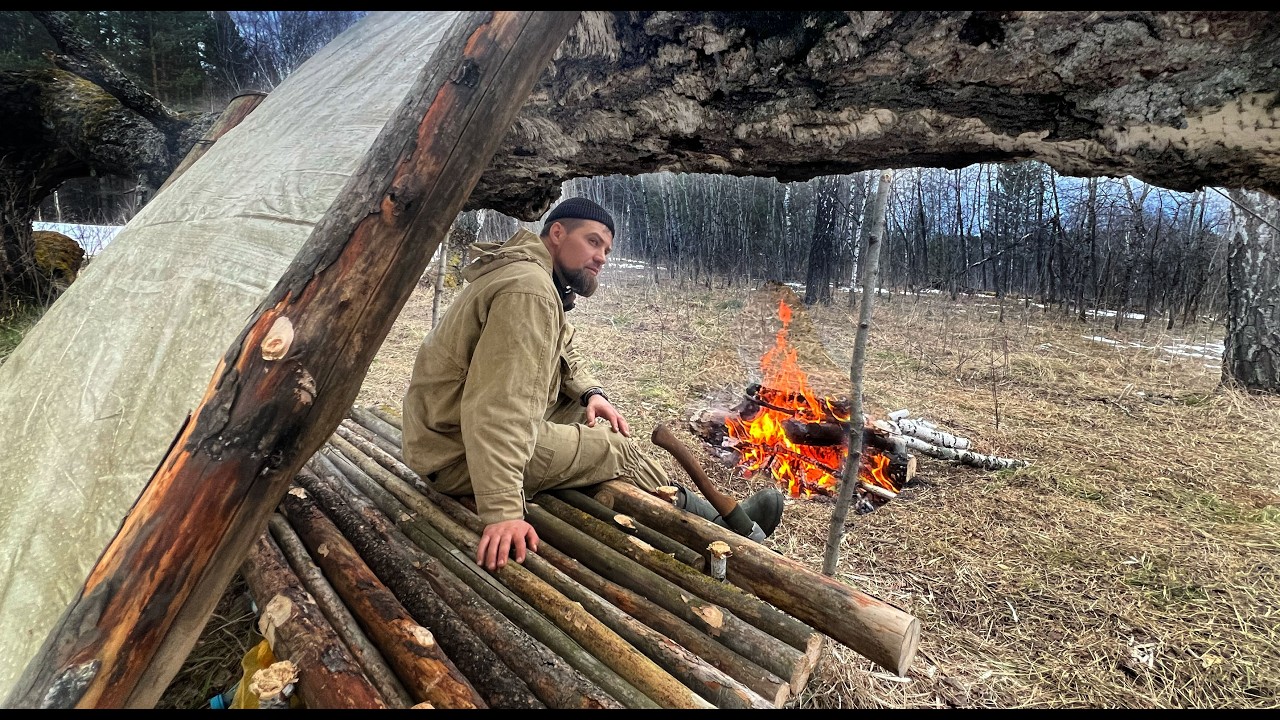 How To Create A Cozy Shelter: Amazing Camping Under A Big Tree in the Heart of the Wild