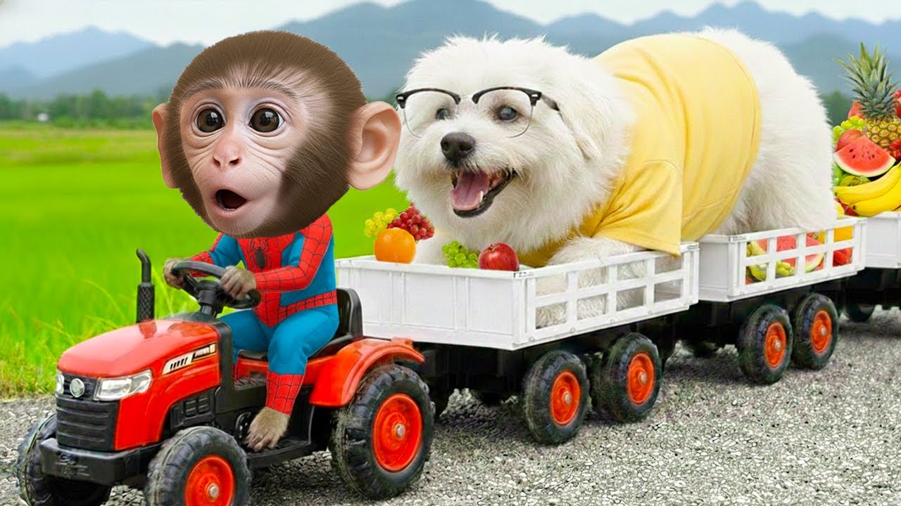 El Pequeño Mono Bim y la Muñeca Arcoíris: ¡La Batalla Más Sorprendente!