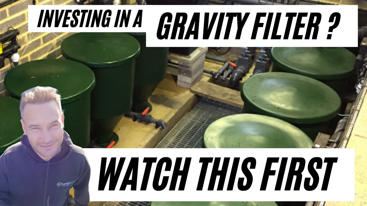 You do not need an expensive pond filter room with a gravity fed filter system