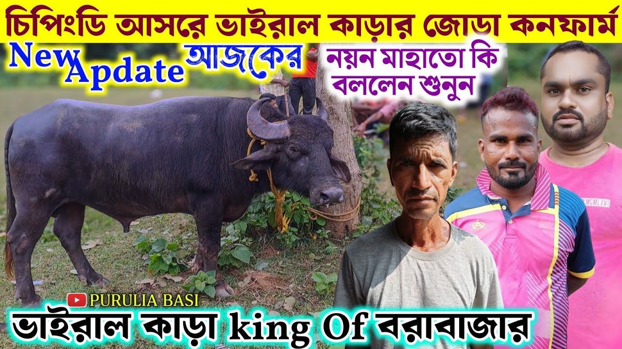 নয়ন মাহাতোর হাইভোল্টেজ বক্তব্য জোড়া কনফার্ম করে !! ভাইরাল কাড়া King Of বরাবাজার 