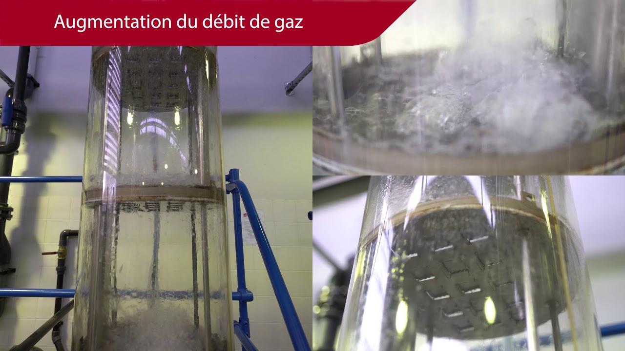 Hydrodynamique des colonnes : colonnes à plateaux