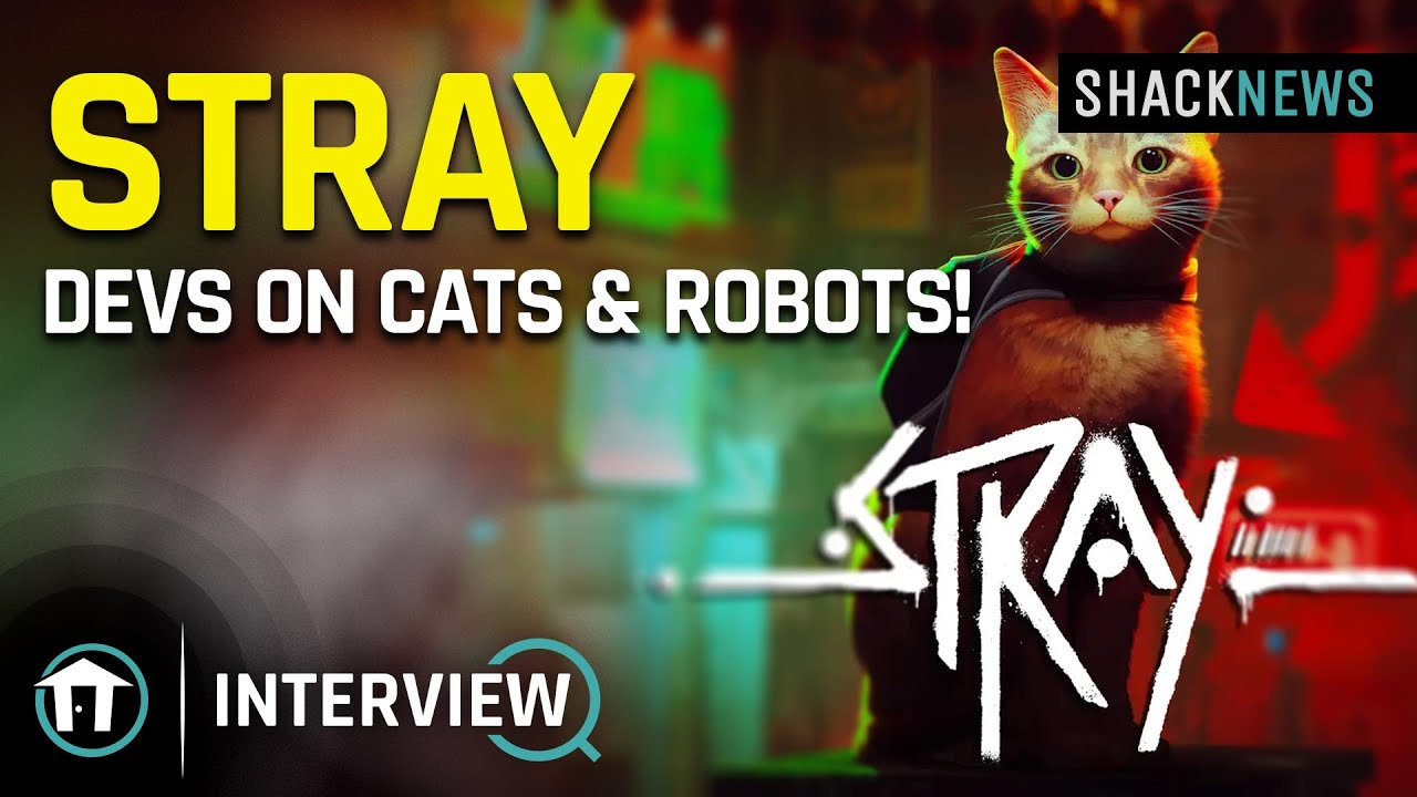 Stray - Разработчики о котах и ​​роботах!