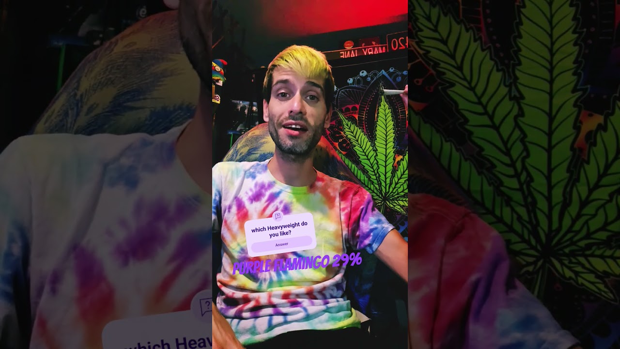Heavyweight Heads  - Purple Flamingo #ganjaridersplayhouse #cannabistalk101 #cannabisdaily