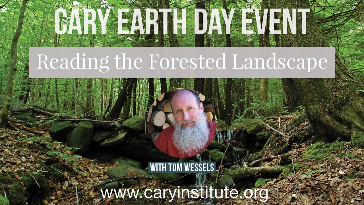 Reading the Forested Landscape with Tom Wessels