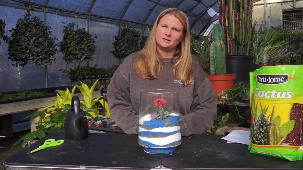 How To Make A Layered Sand Succulent Planter