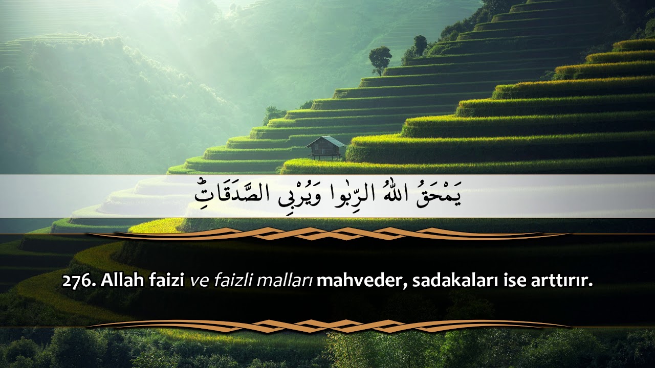 Faiz yiyenler şeytan çarpmış gibi kalkarlar|Bakara Suresi 273-281| İdris ABKAR |Sadaka, Faiz, Borç |