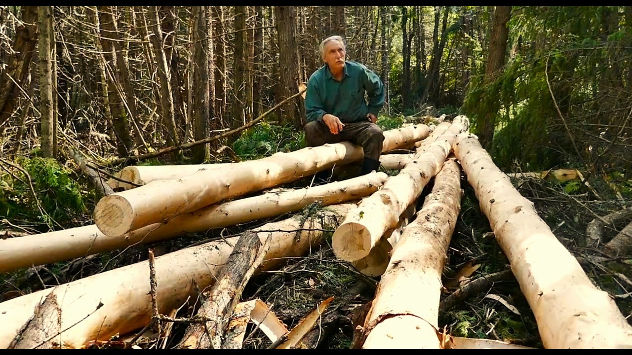 Cutting Peeling Tamarack Logs for Guest Cabin