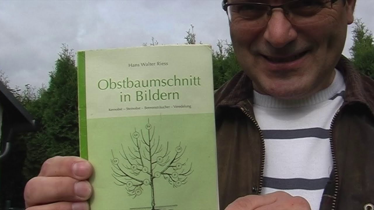 Brombeeren schneiden