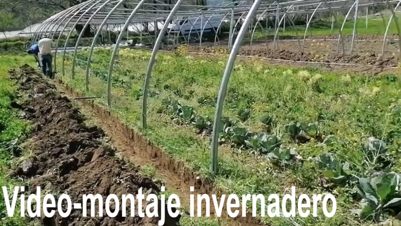 Montaje invernadero túnel | Estructura y preparación
