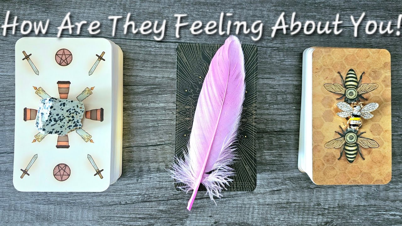 💞How Are They Currently Feeling About You?💞Pick a Card Love Tarot Reading💫Timeless💫