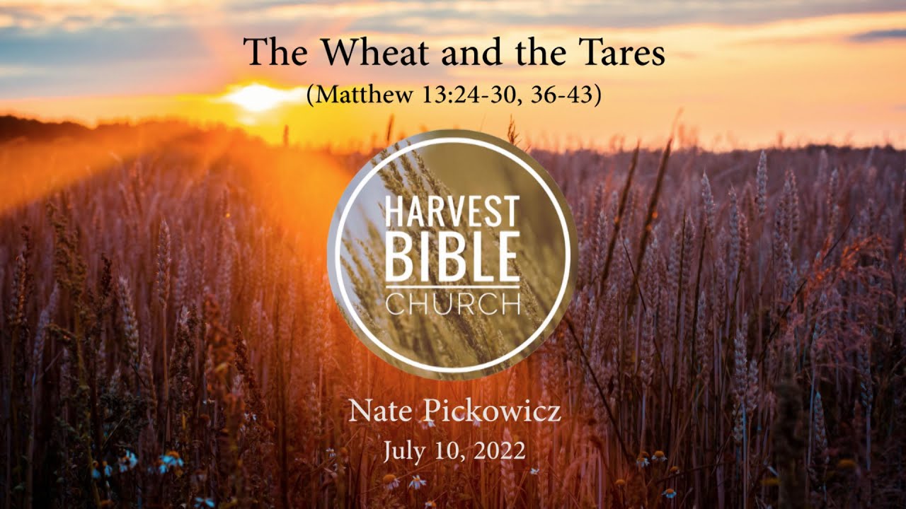 20220710 - The Wheat and the Tares (Matthew 13:24-30, Matthew 13:36-43) [Nate Pickowicz]