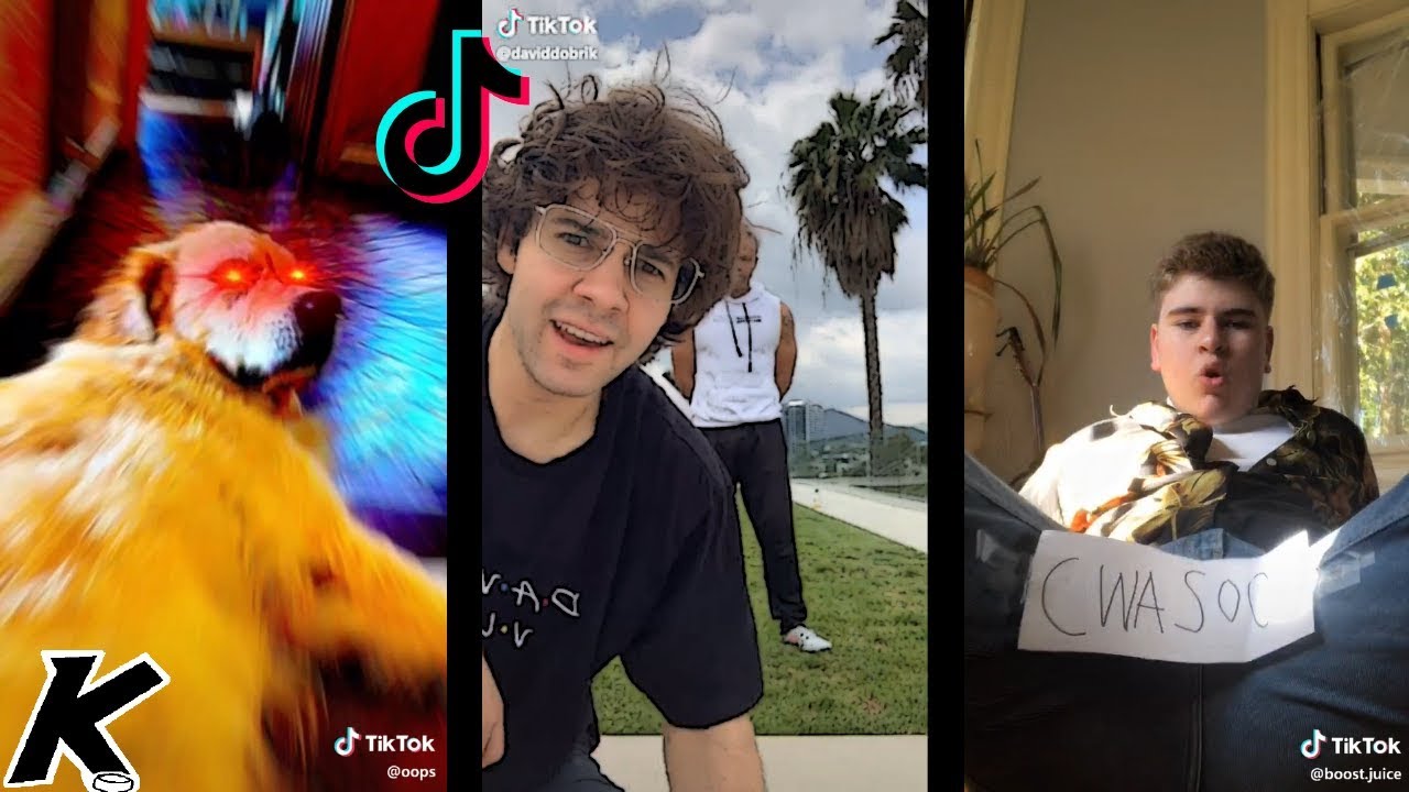 TikToks that give me a reason to live