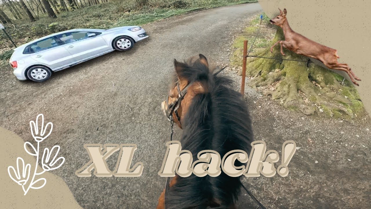 ARGUING, RACING A CAR AND FACE TO FACE WITH A DEER🫣 | helmet cam