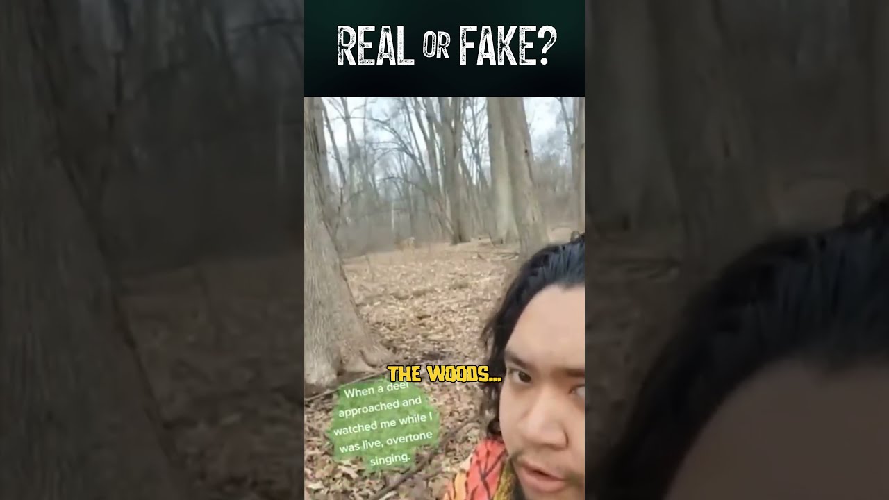 The Mysterious Figure in the Woods: Caught on Camera #shorts #scary #mystery
