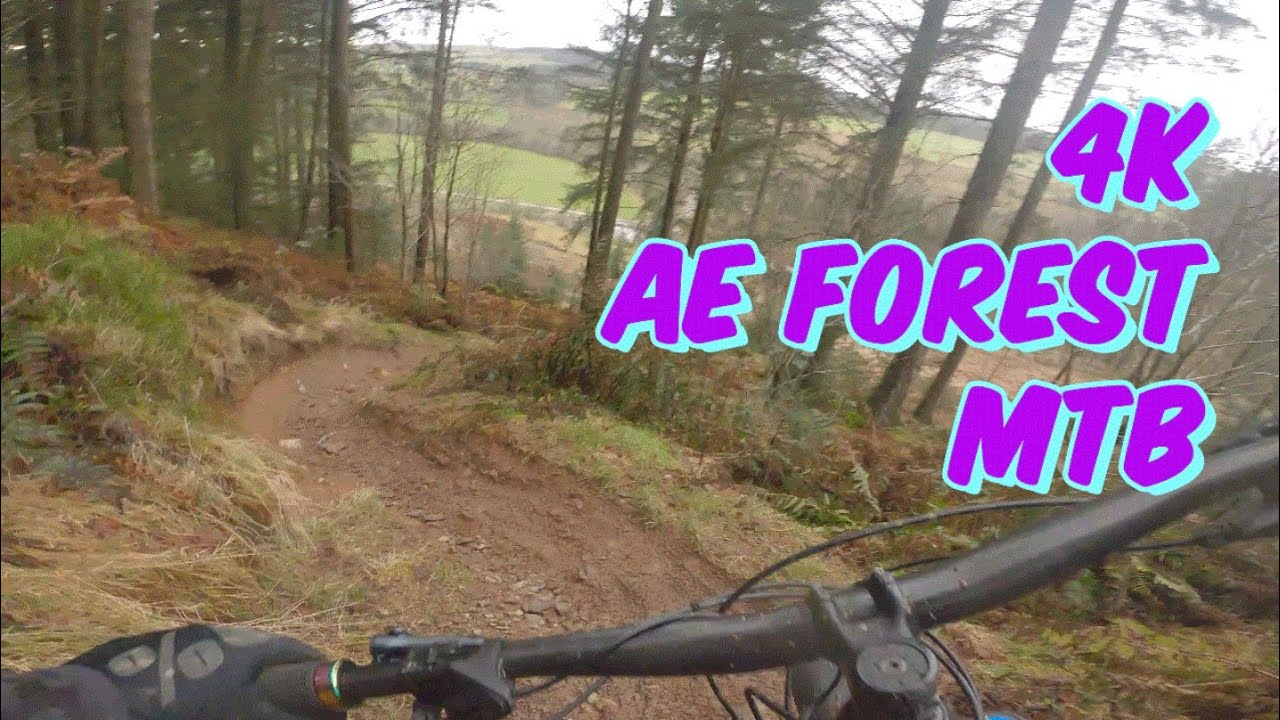 The best Ae Forest MTB vlog...