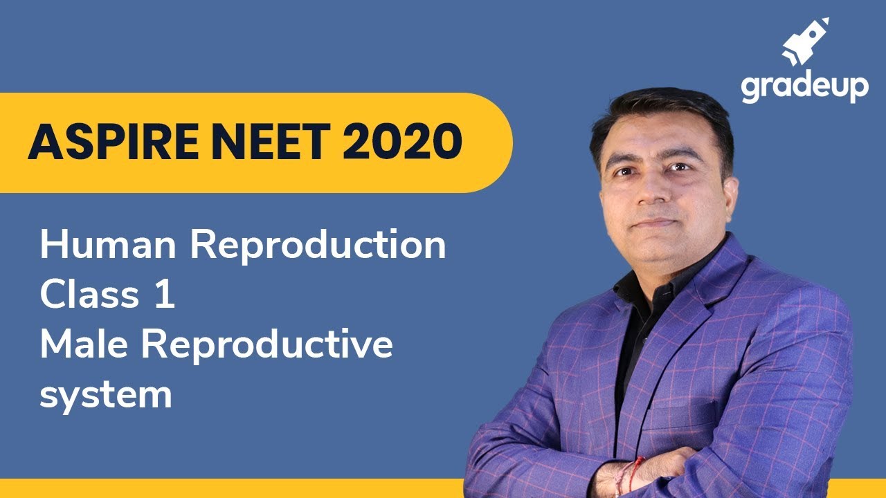 Human Reproduction | NEET 2020 | Class 12 Biology | Male Reproductive System | Gradeup JEE
