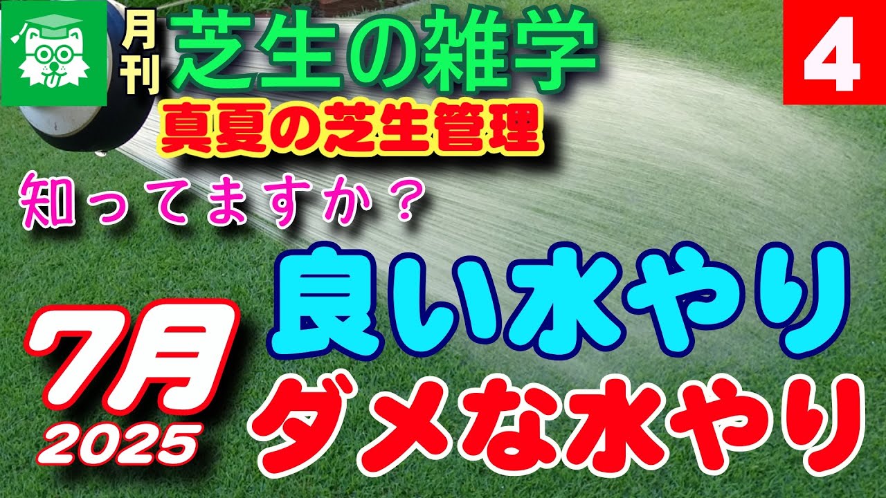 もう迷わない芝生の散水！「良い水やり」と「わるい水やり」の違いを理解する　芝生の雑学７月号 session4