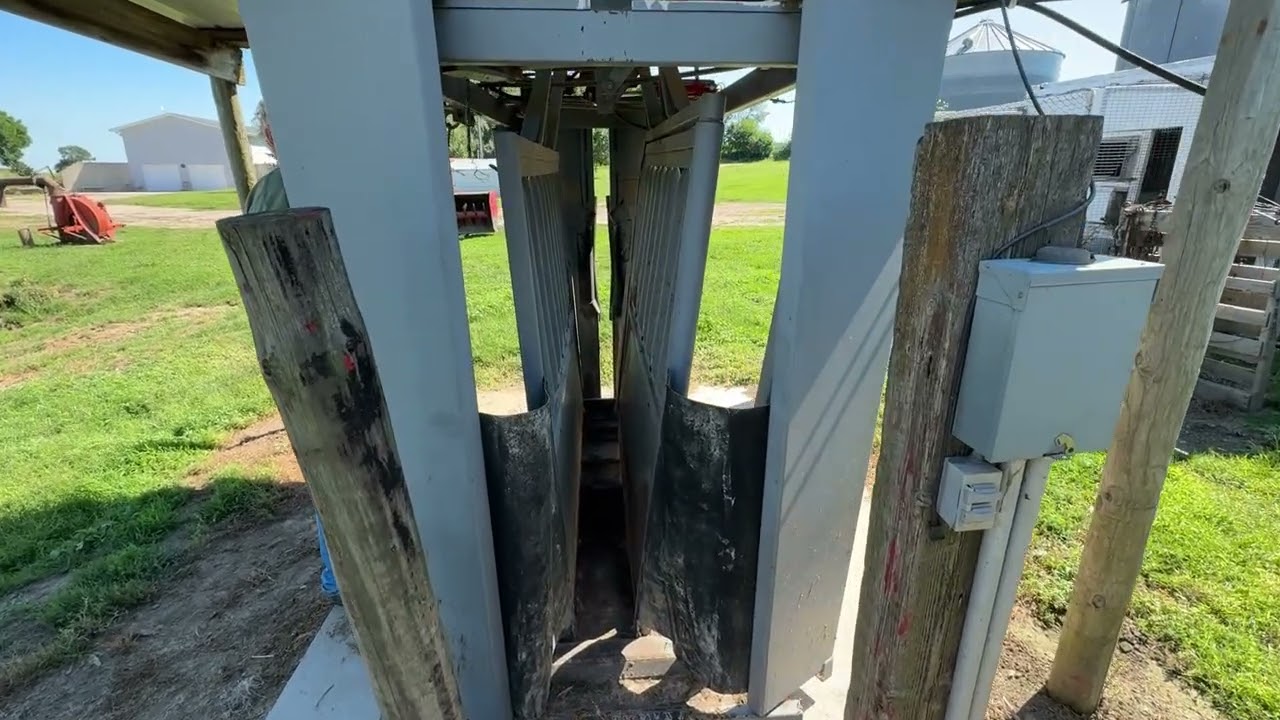 Moly MFG Silencer Hydraulic Livestock Squeeze Chute | For Sale | September 9