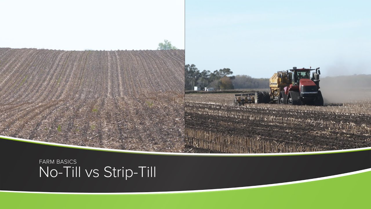 No-Till против Strip-Till