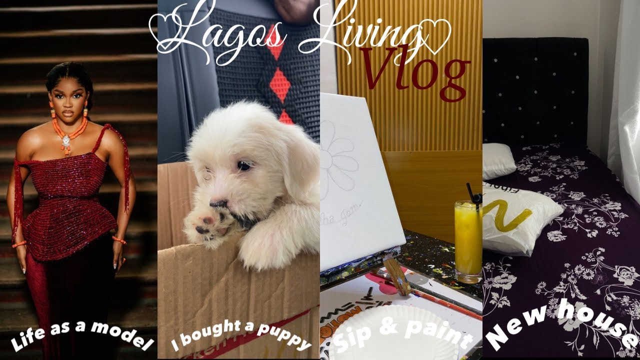 Lagos Living Vlog:I moved+life as a model+I bought a puppy+2mins popcorn tutorial+sip&paint|Tammy.R