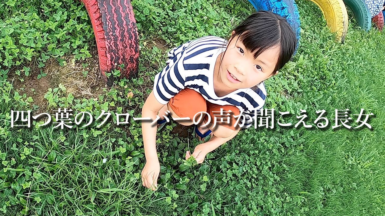 【四つ葉のクローバーの声が聞こえる長女】四つ葉のクローバー/クローバー/不思議な力