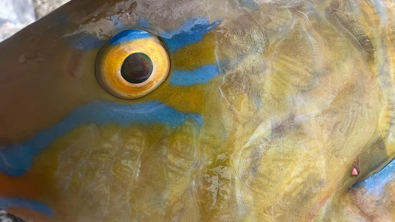 北部編嬉しい釣果！