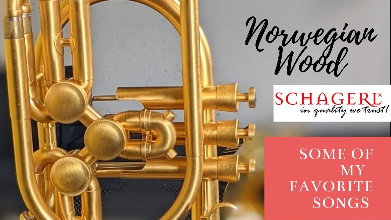 How about some Norwegian Wood on the Schagerl Raweni?