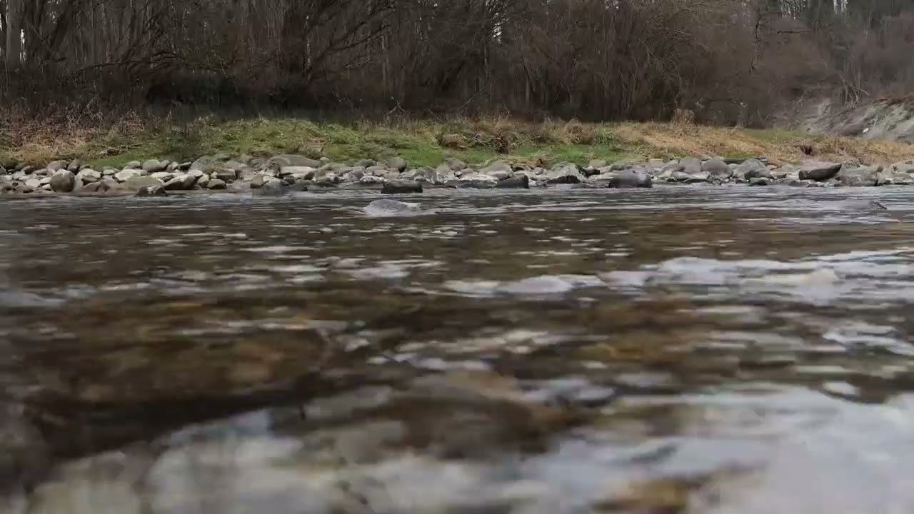 Soothing River Sounds - 10 Hour of Perfect Nature Sounds for Relaxation and Sleep