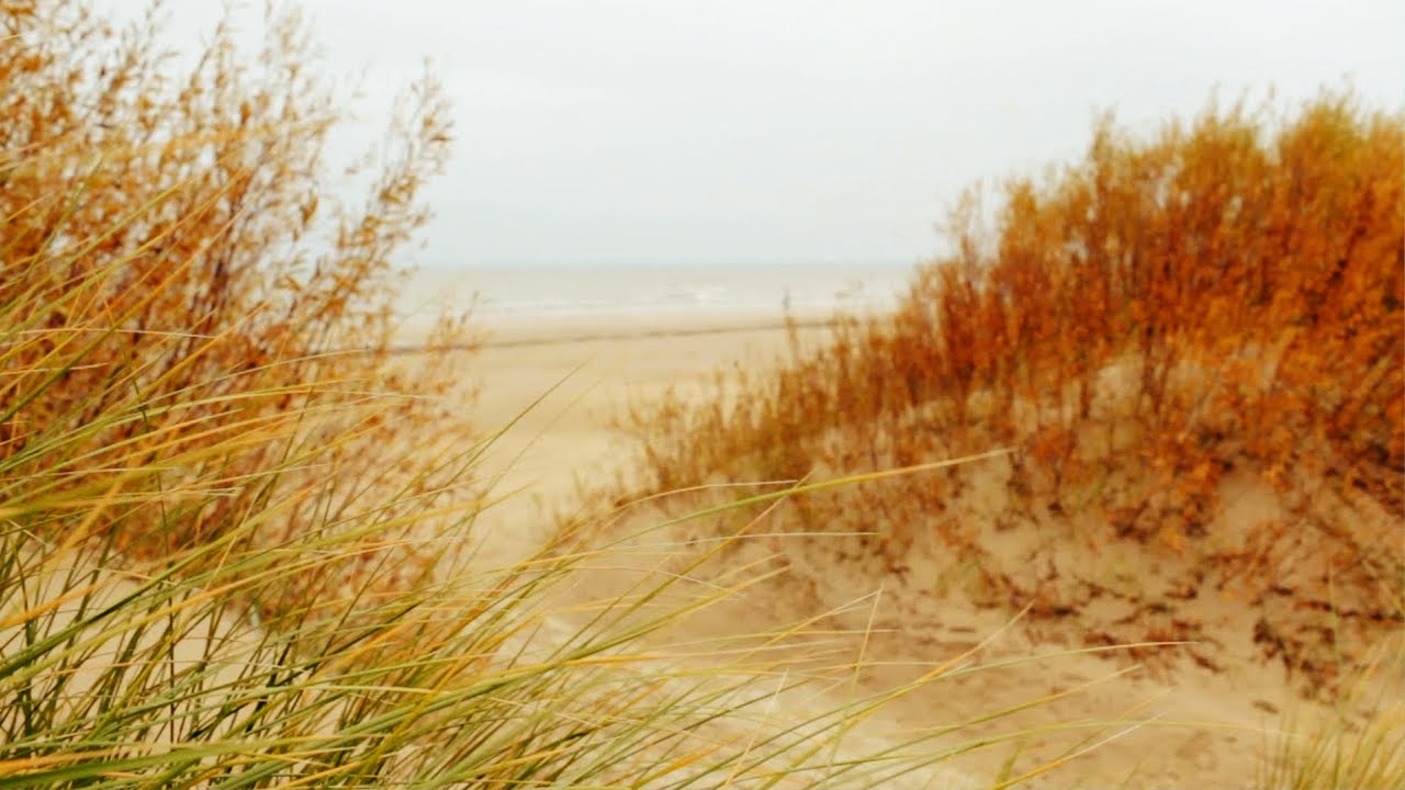 Meeresrauschen mit M&ouml;wen an der Nordsee - 5 Stunden Meeresrauschen am st&uuml;rmischen Meer