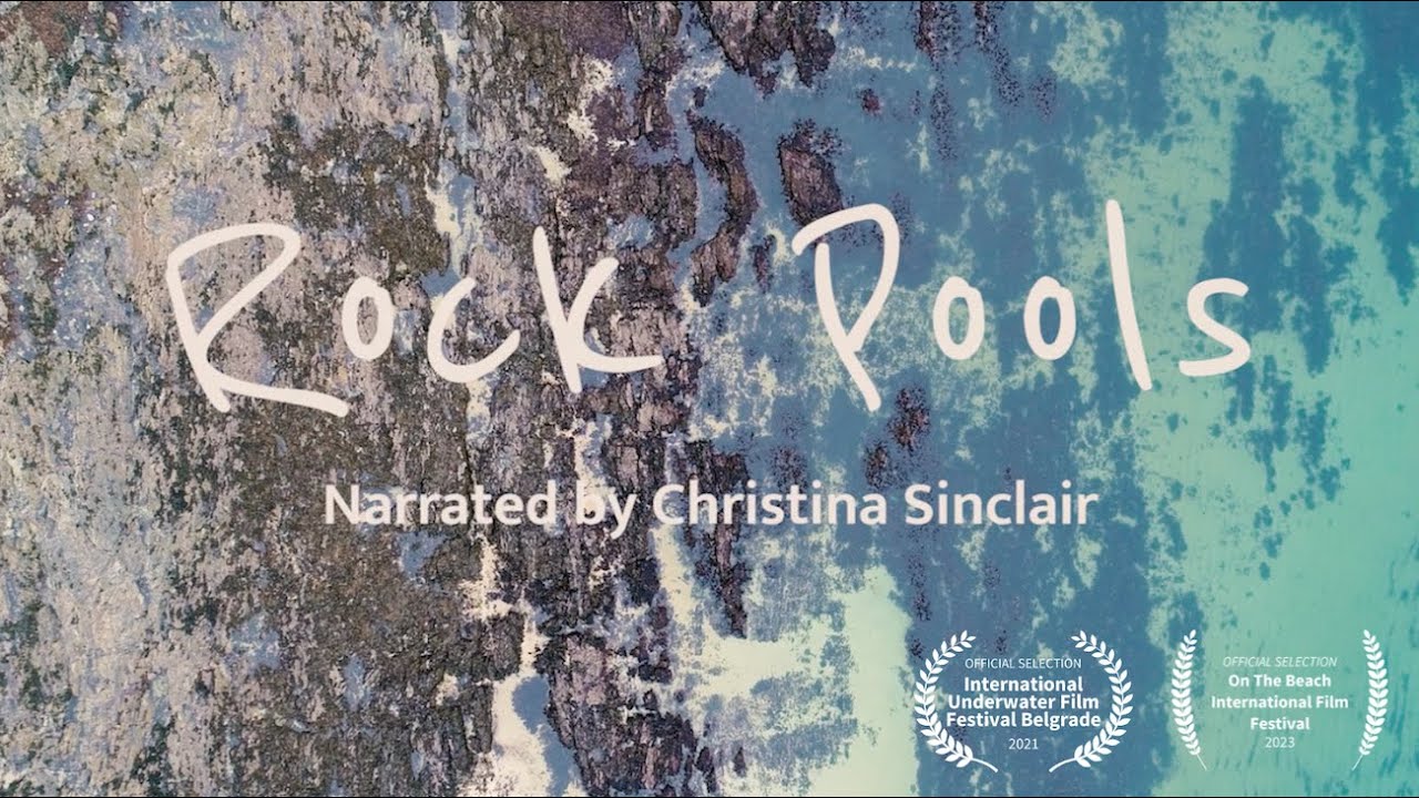 Rock Pools: Windows to the Sea