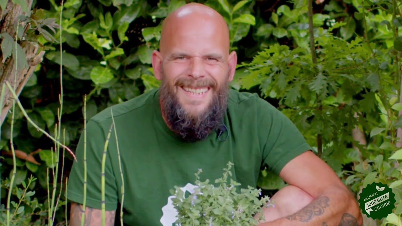 Futterpflanzen für Haustiere - Tristan rockt den Garten