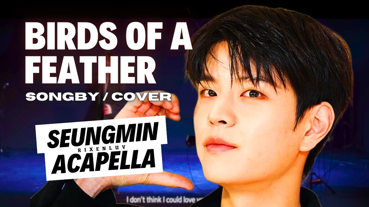 Seungmin – Birds of a feather(cover) | Clean Acapella