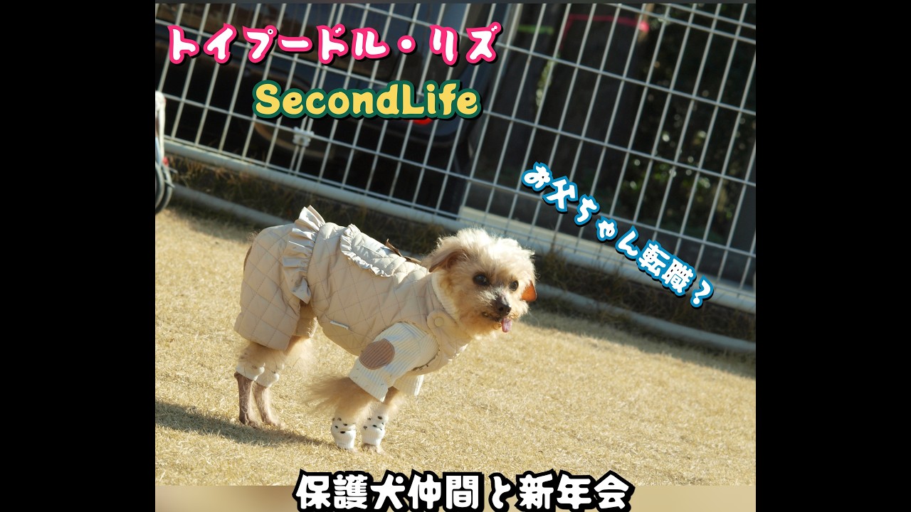2026 01 18 保護犬カフェ印西卒業生の新年会