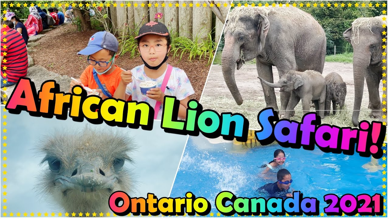 African lion safari Ontario Canada 2021, Full tour - Tiger and May