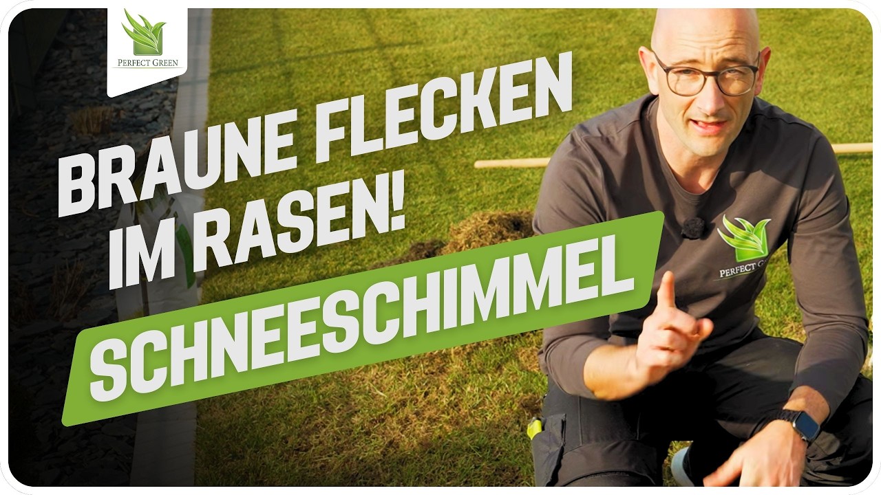 🌱 Schneeschimmel im Rasen erkennen & richtig behandeln | Braune Flecken nach dem Winter 🌱
