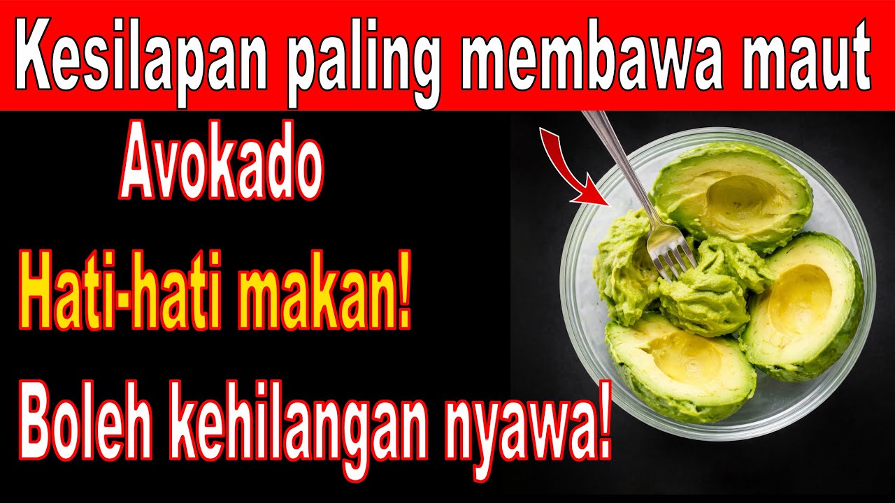 Nak Makan Avokado? 10 Kesilapan Berisiko Yang Wajib Dielakkan | Panduan Avokado Untuk Warga Emas