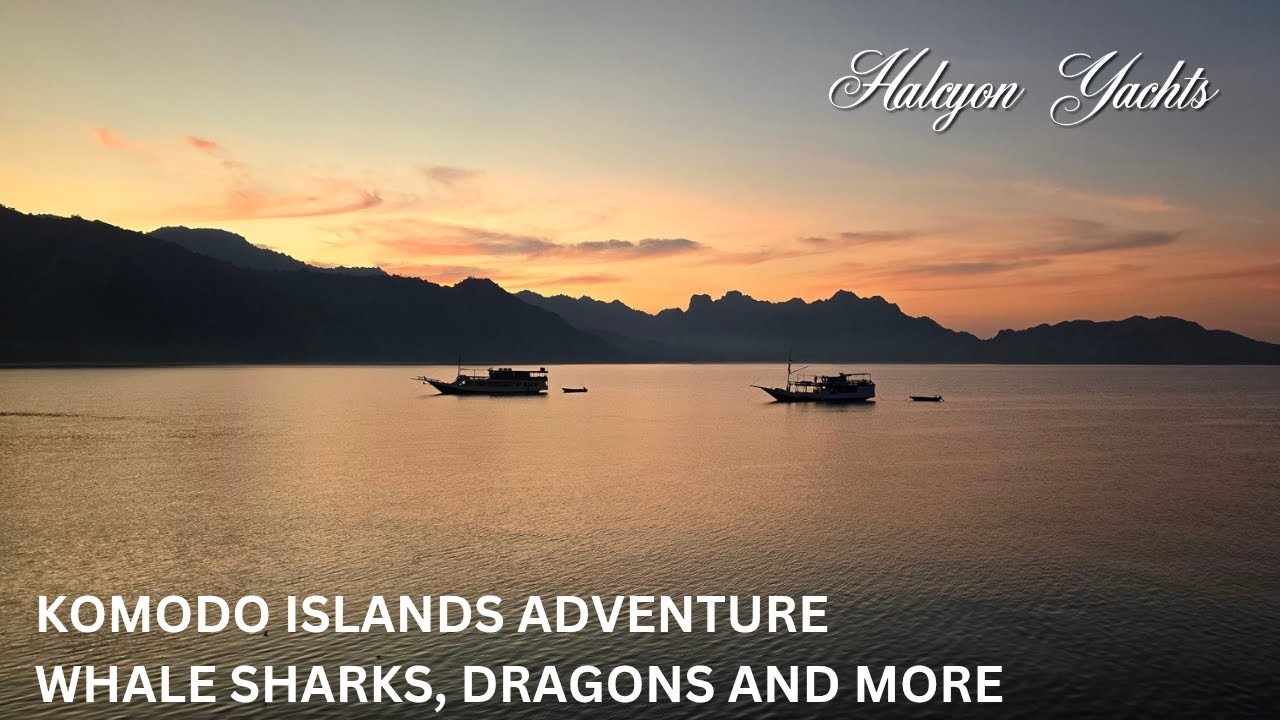 Komodo Islands Cruise -  4 days of sailing from Lombok to Flores