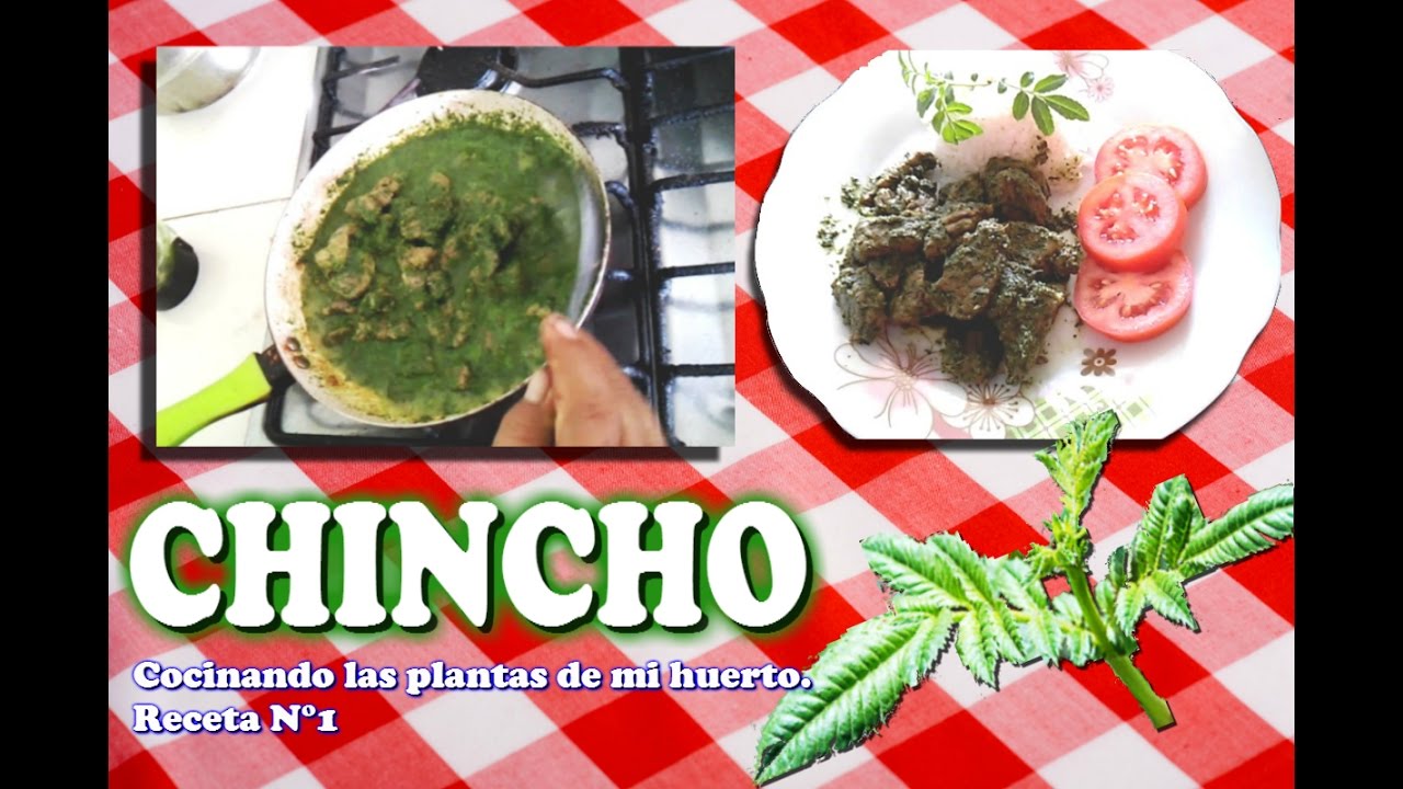 CHINCHO con carne ✔Receta N° 1⭐️Cocinando las plantas de mi huerto  ♦ Cooking 🔆 DJ